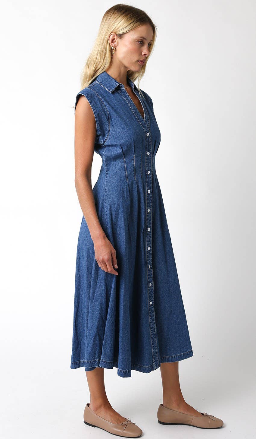 Blair Denim Dress